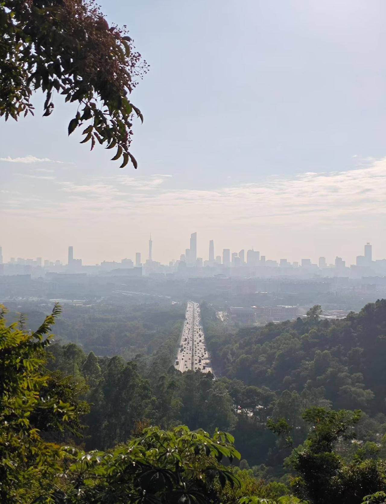 广州火炉山
📍广州 
周末逃离城市计划达成✅
火炉山的绿意真的能治愈一切疲惫，