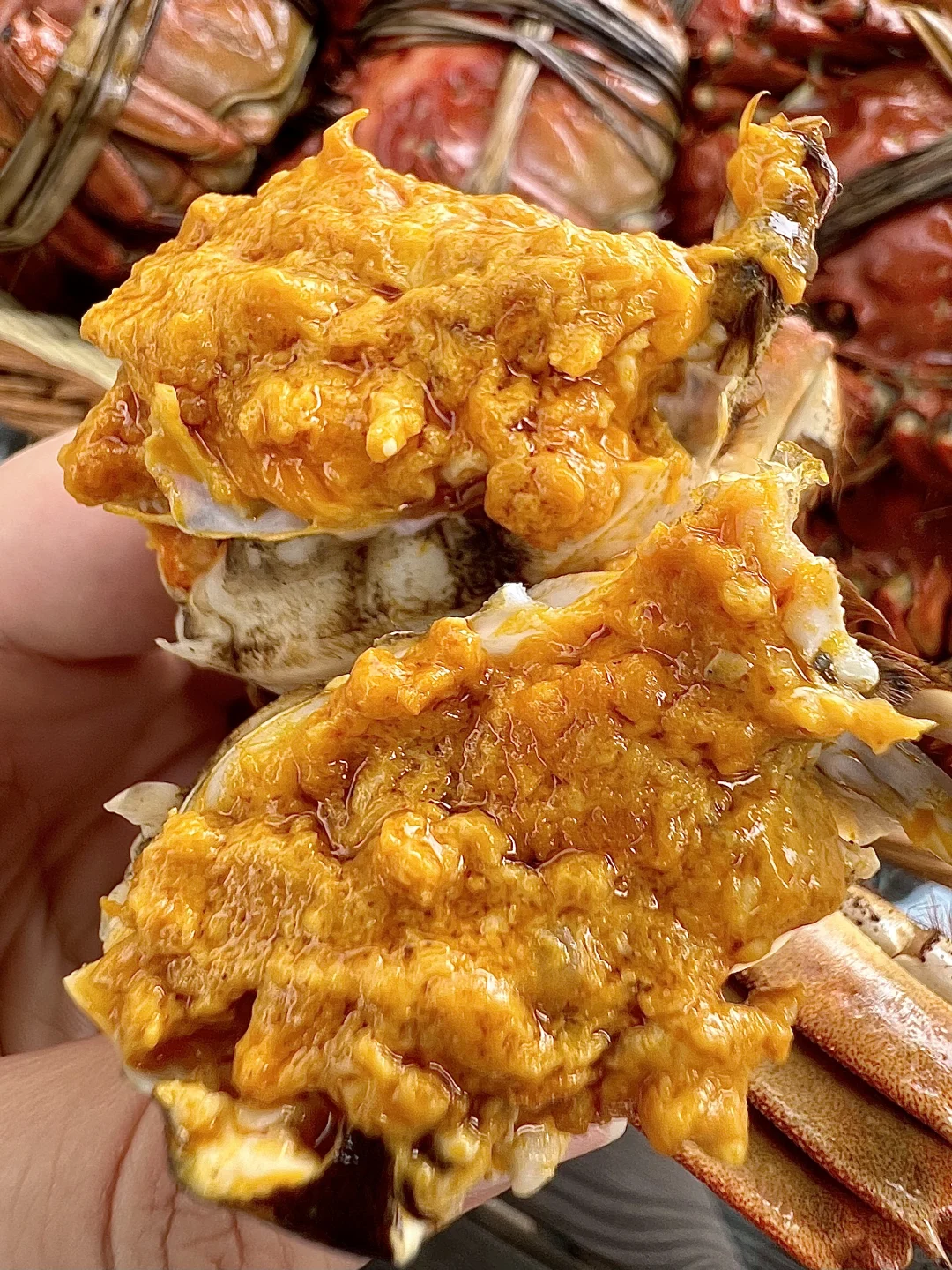 苏州的农家乐已经美出next level。。。