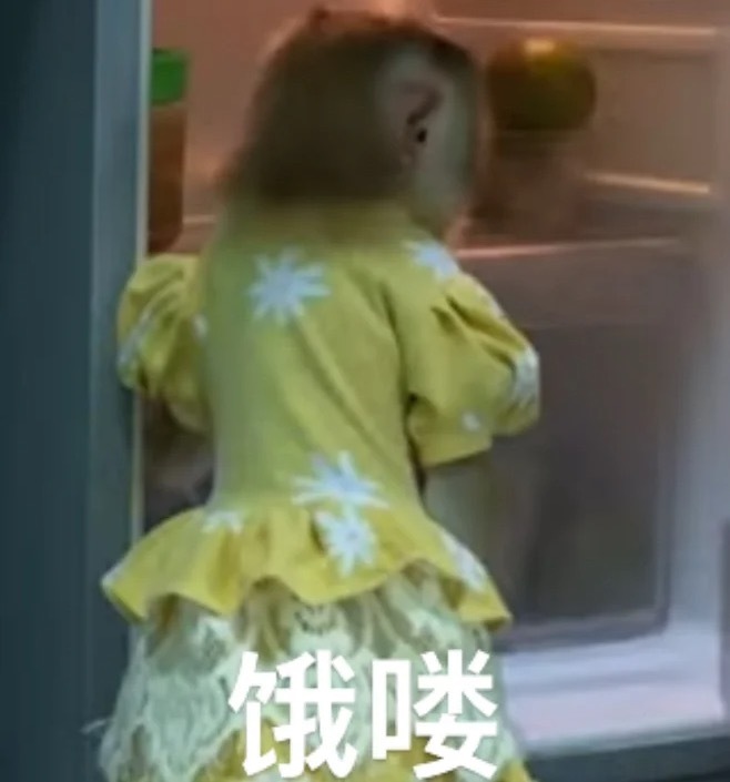 一个喜欢吗喽的人，再坏也坏不到哪去。#V笑年度大赏# ​​​
