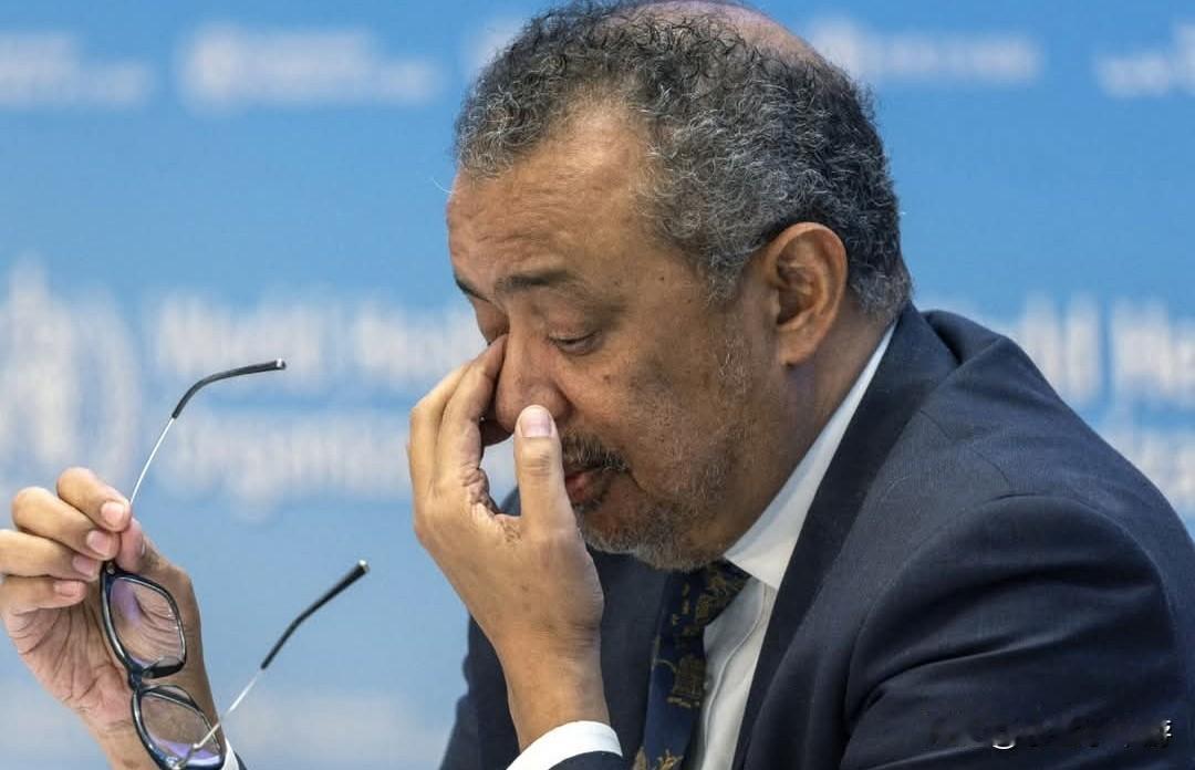 世界卫生组织（WHO）失去最大资助方，总干事谭德塞坦言，2025年是该组织“最艰