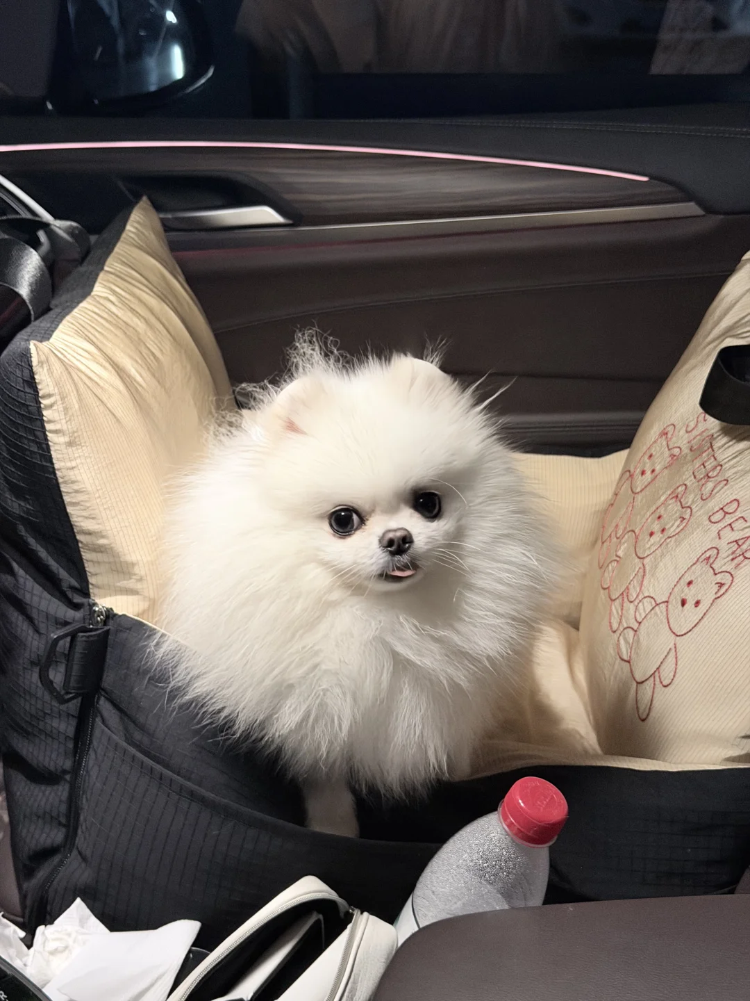 三分凉薄，七分不屑