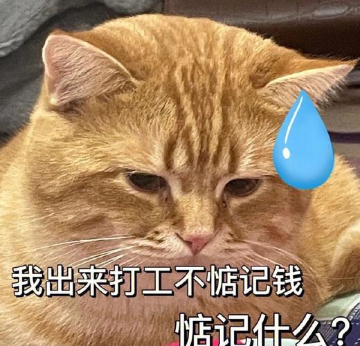 如果领导给你降薪，然后说：“经济形势不好，降薪是必然的，能感谢你留在公司，我不会