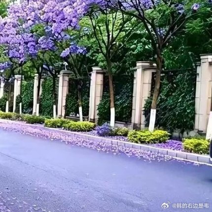 若把善意织成一张密不透风的网，撒向人间烟火，那些你曾守护过的身影，都将化作星辰。