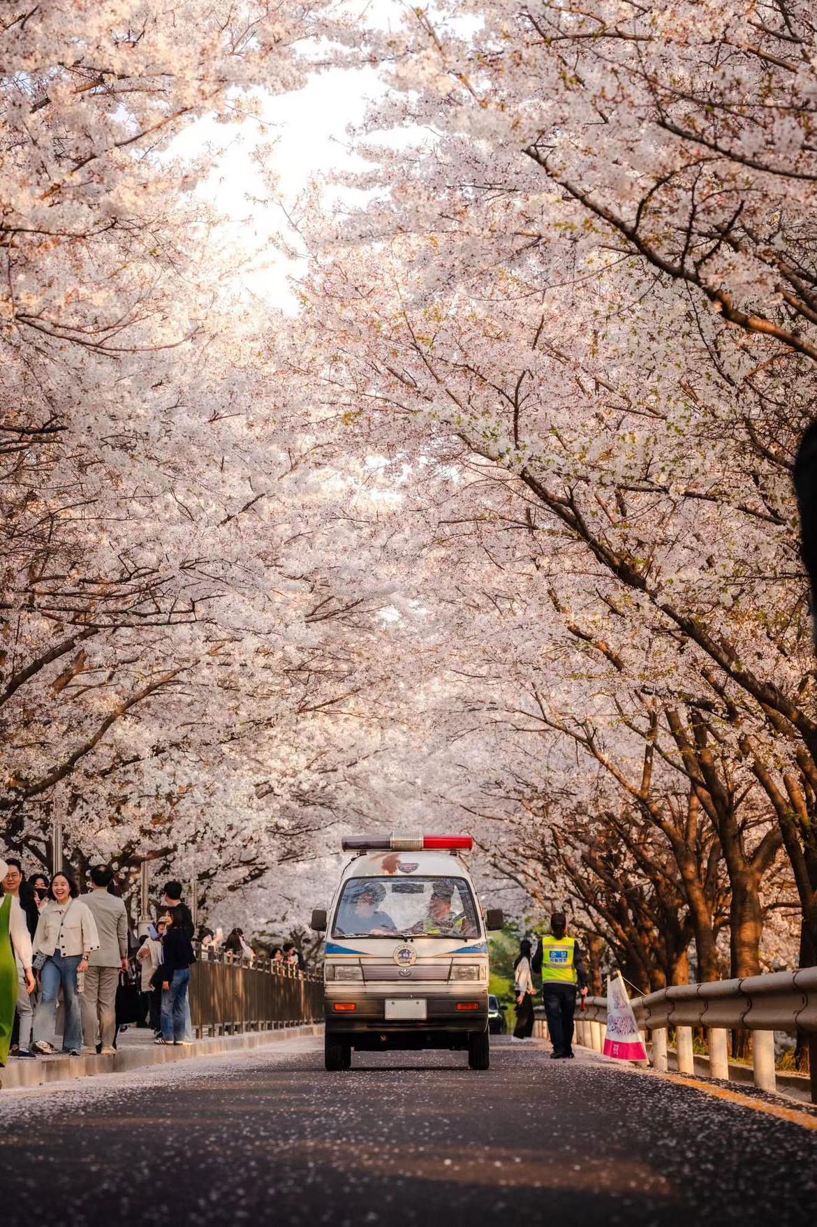 我的今日状态：😁轻松愉快
我这里的天气：☀️晴天