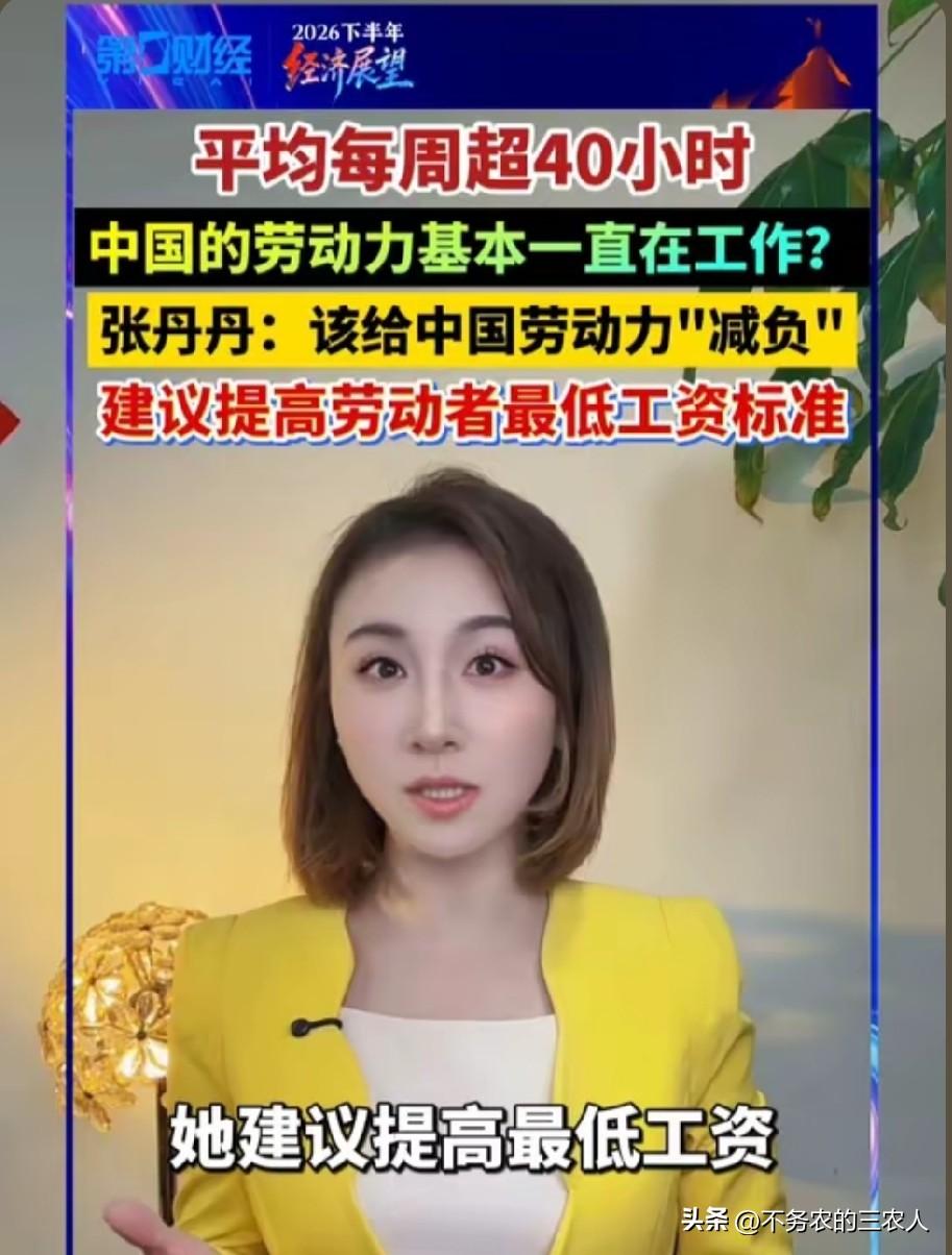 经济学家张丹丹的一番发言，瞬间引发无数打工人共鸣，不少网友直言：这才是真正扎根民