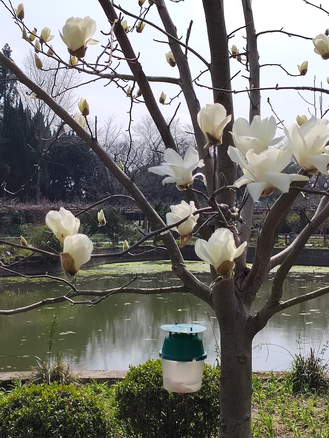 听闻张雪峰因心源性猝死去世，非常让人震惊，他那么富有才41岁，正是年富力强的时候