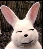 图都看了七七八八了，现在最大的悬念是明天央视现场的解说词。很多东西的性质与定位，