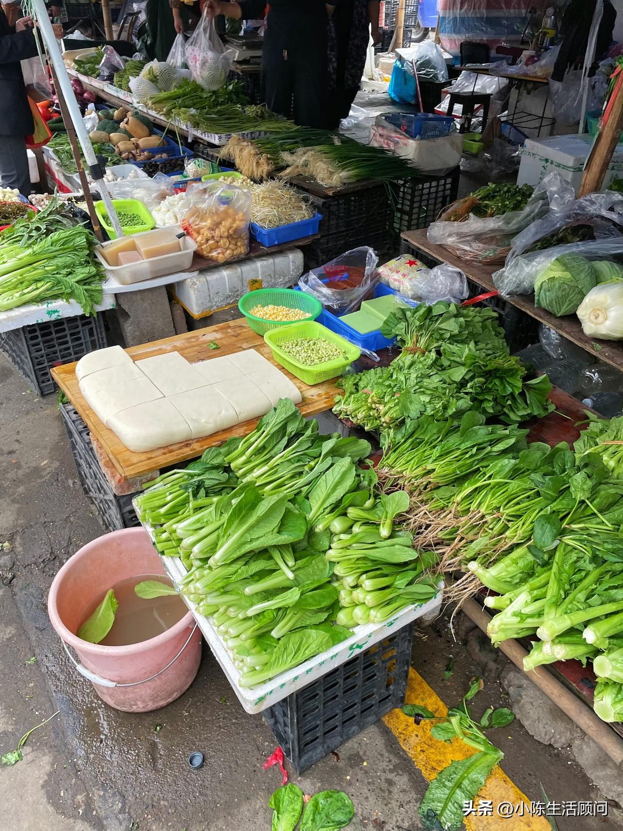 早起陪妈妈去菜市场遛弯🥬🥦🥒
虽然有阳光☀️但开电驴还是有点冷🥶
回家又