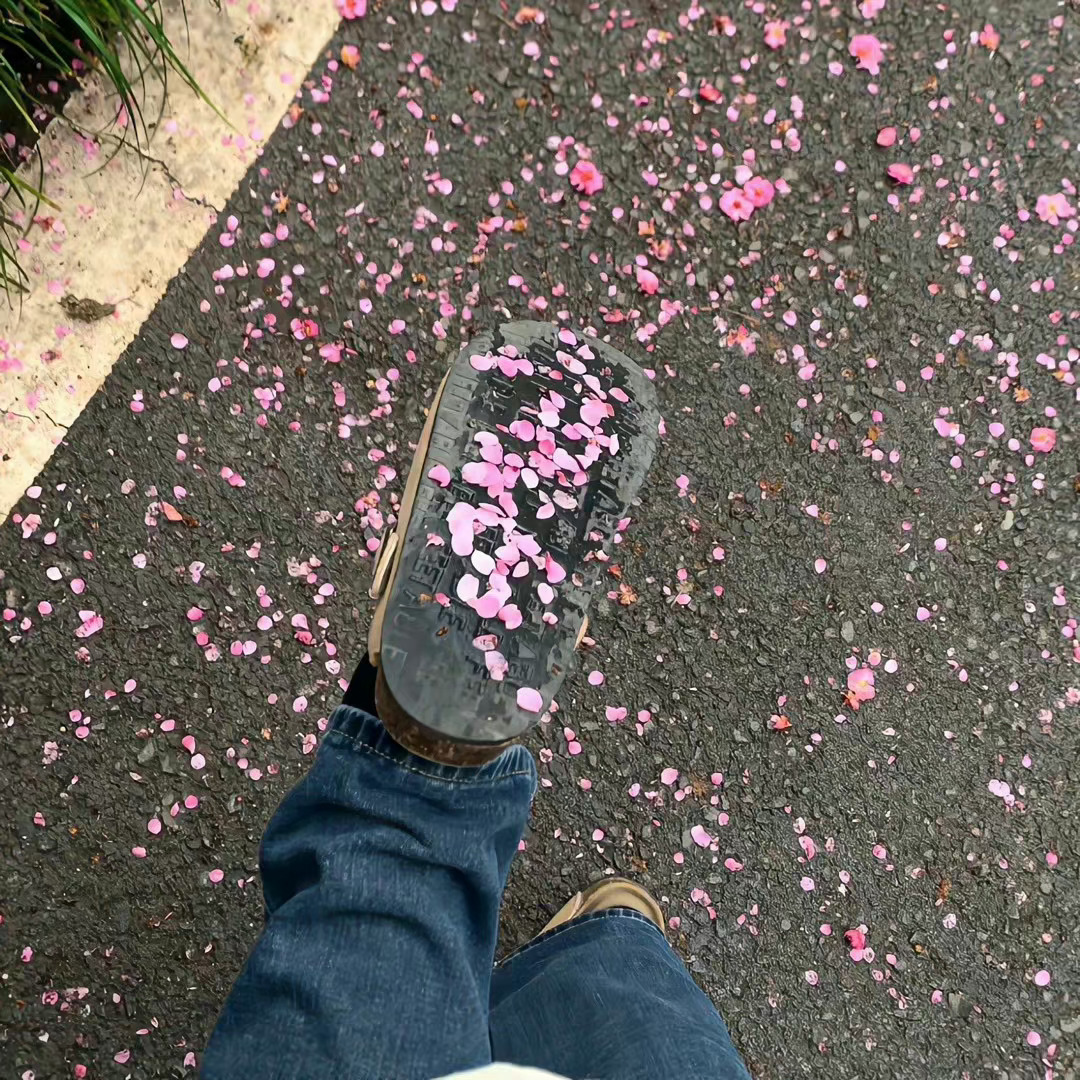 刷到说明你要走花路了🌸 