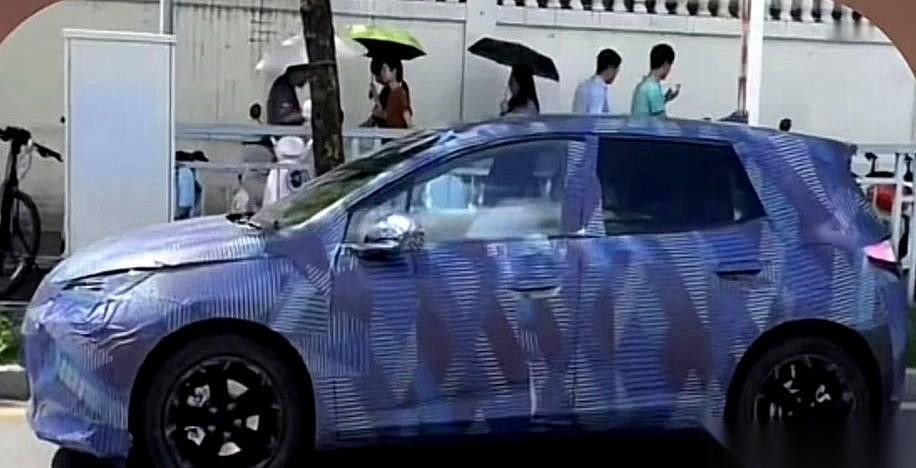 后驱海豚？
我第一眼看到，还以为哪个网友在P图开玩笑。
结果好家伙，是真的。
这