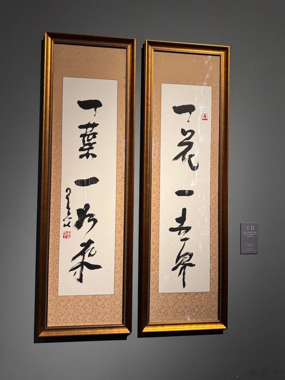 焕新非遗计划 一花一世界，一叶一如来  