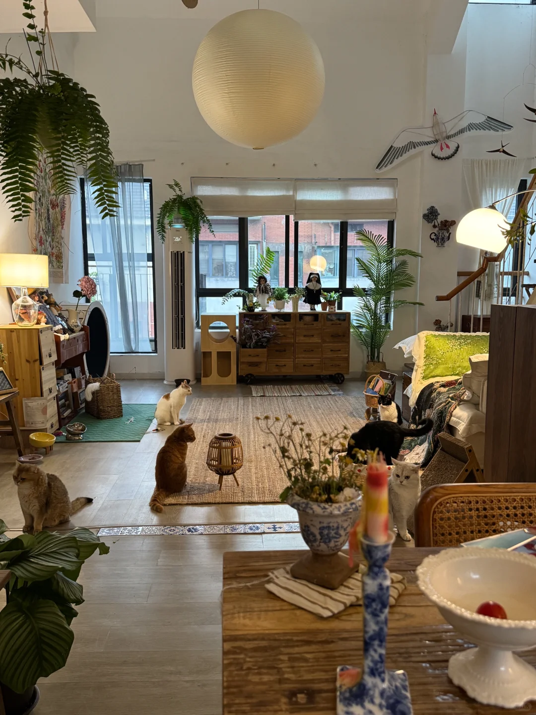 暴雨过后会呼吸的家