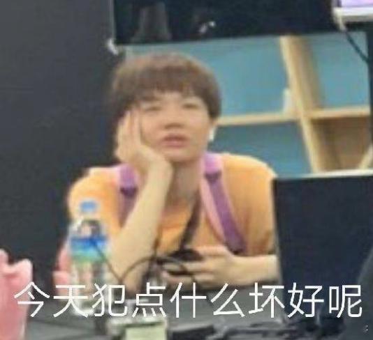 Crisp力挺Meiko哈哈哈，两个人擅长的领域不一样，上限都很强，但田野平均水