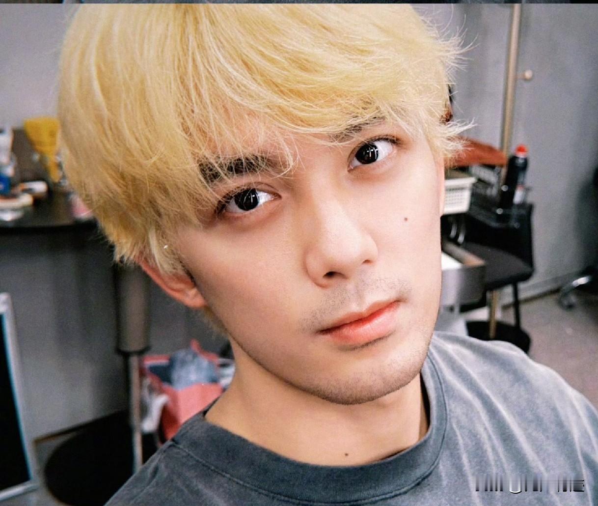 我讨厌黄毛，我讨厌黄毛，我讨厌黄毛，重要的事情说三遍！

但他是吴磊，所以我只能
