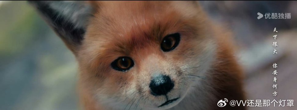 呜呜呜看懂片头了，两只九尾狐大妖中间是那只爱吃覆盆子的土狐狸