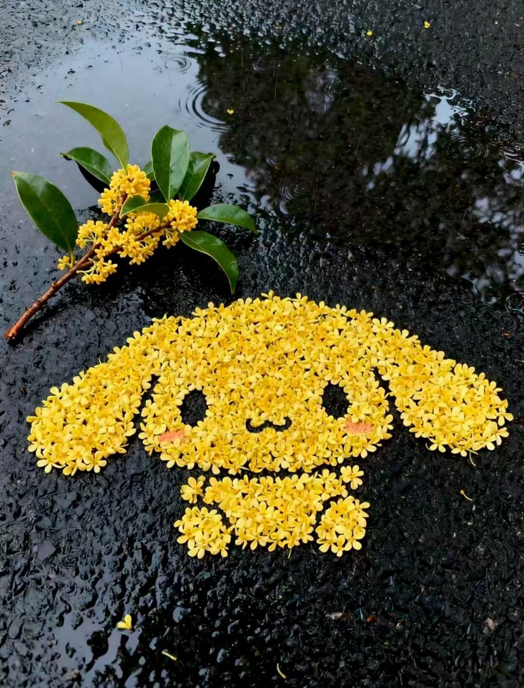 生活慢慢过，日子好好过，保持热爱，认真生活。 