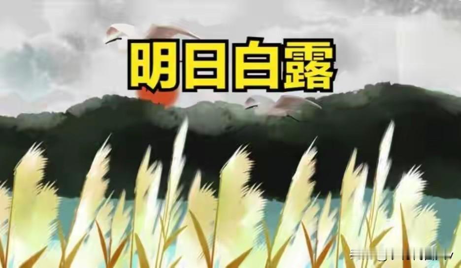 明日白露是“凶日”？提醒中老年：1要吃2要戴忌1样，吃3样2注意，别大意
 
明