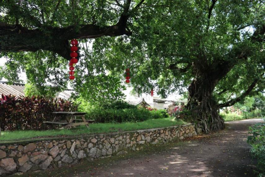 厚植底色，解码基层，广工学子赴潮州开展多元乡土实践