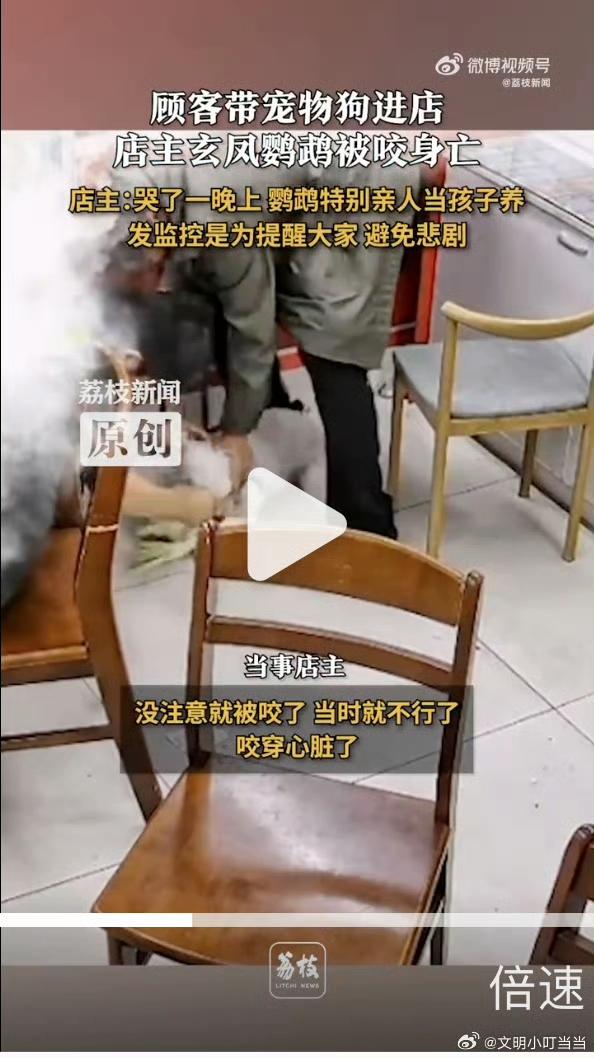 终于知道，
为啥这店主会被网暴了，
要是我，我也骂，但我不会骂他，我会骂我自己