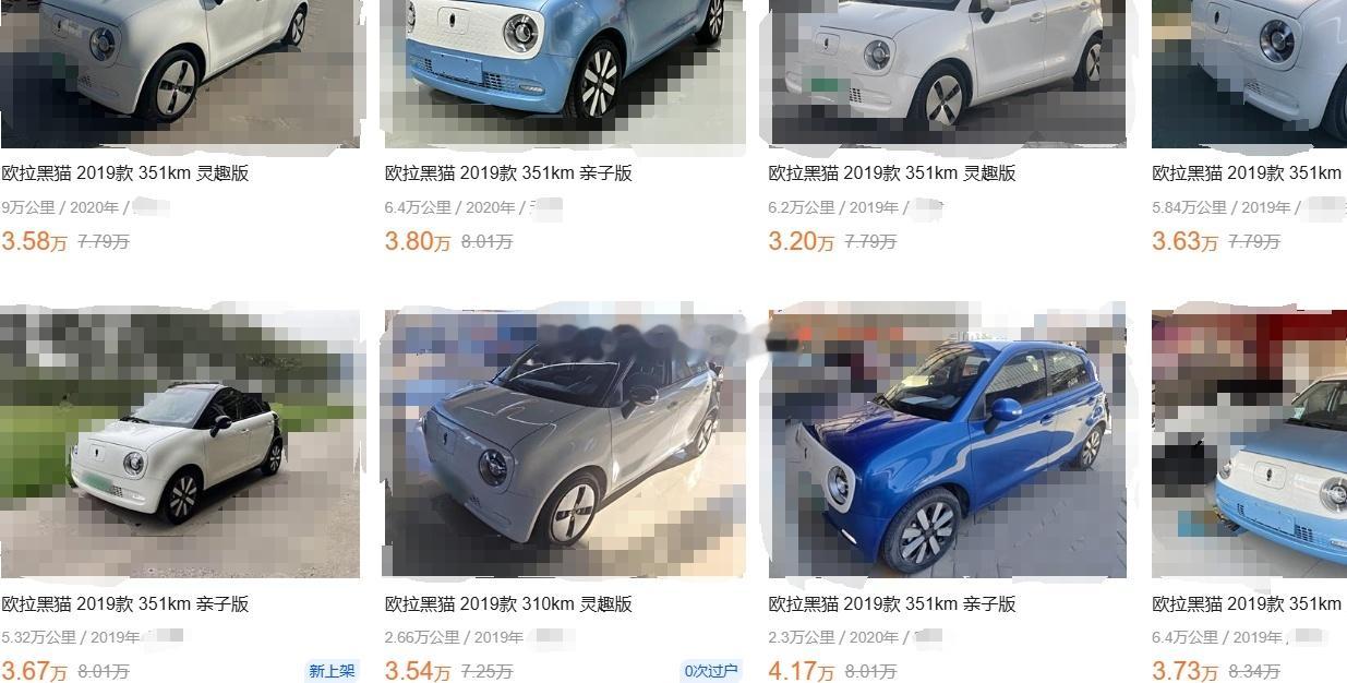 欧拉黑猫，这玩意上市即巅峰，月销最高摸到两万辆！！！但是如此大好的势头居然自己给