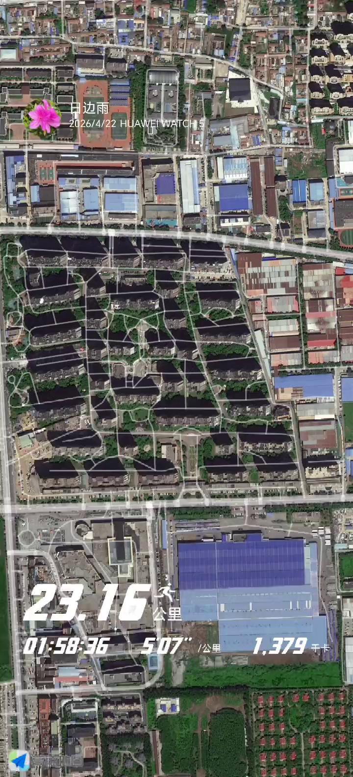 连续第44个半马，状态趋稳，感觉越来越好。