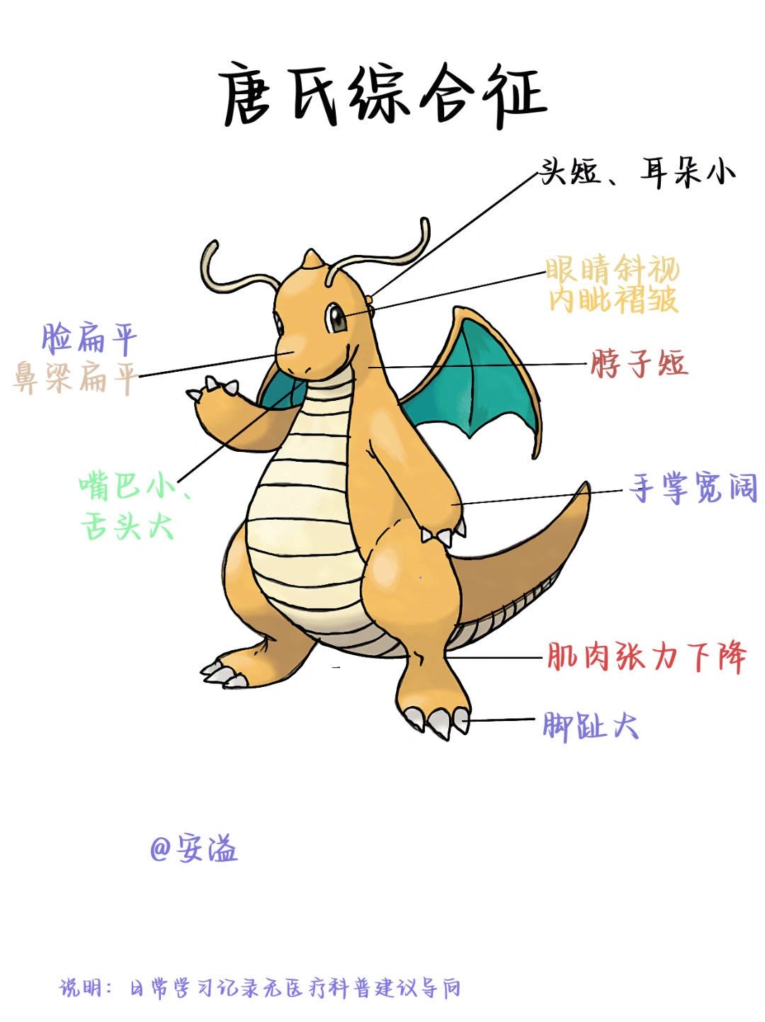 医学生绘本笔记‖唐氏综合征