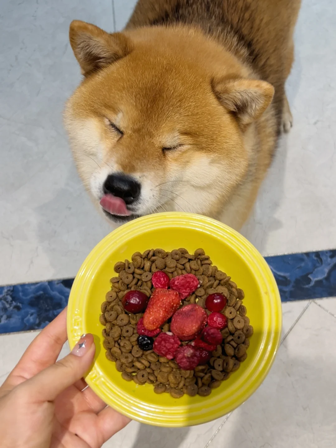 宝宝生活也是好起来了，都吃上漂亮健康饭了