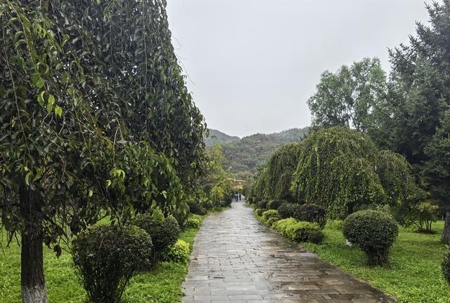 那天晚上刷手机，我正瘫在沙发上啃着半块凉掉的披萨，突然看到一条帖子说现在亲戚关系