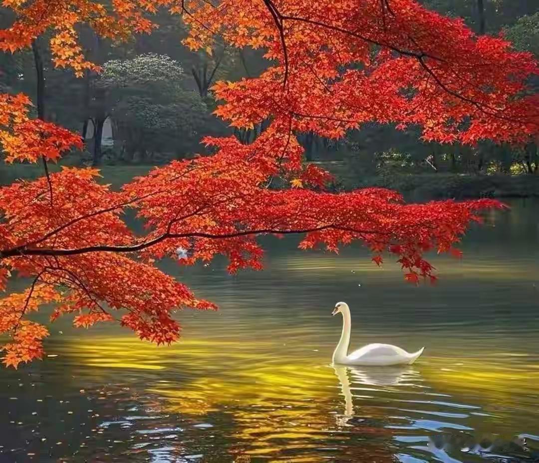 在这纷繁复杂的世界里，我们每日行色匆匆，穿梭于高楼大厦之间，忙碌于各种琐事之中。