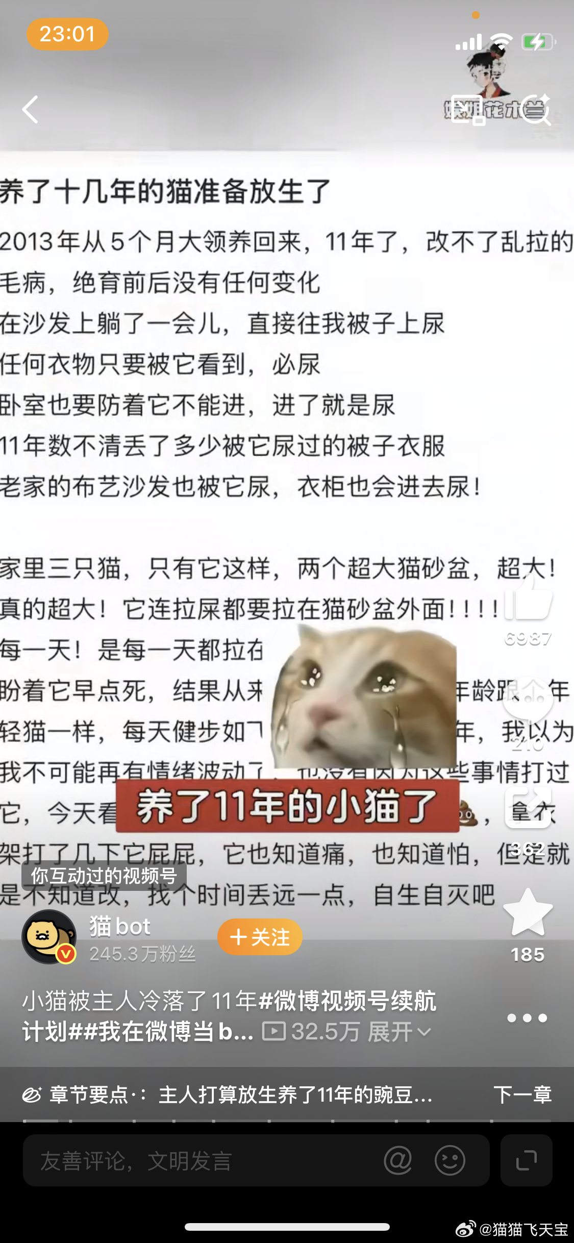 小猫被主人冷落了11年我家两只猫会乱尿乱拉屎，一只是因为刚捡回来，都不肯去猫砂盆