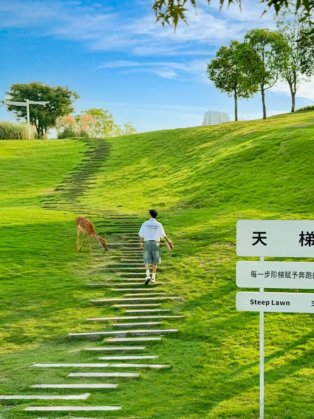 没去新西兰！成都地铁1号线直达绝美草坪公园