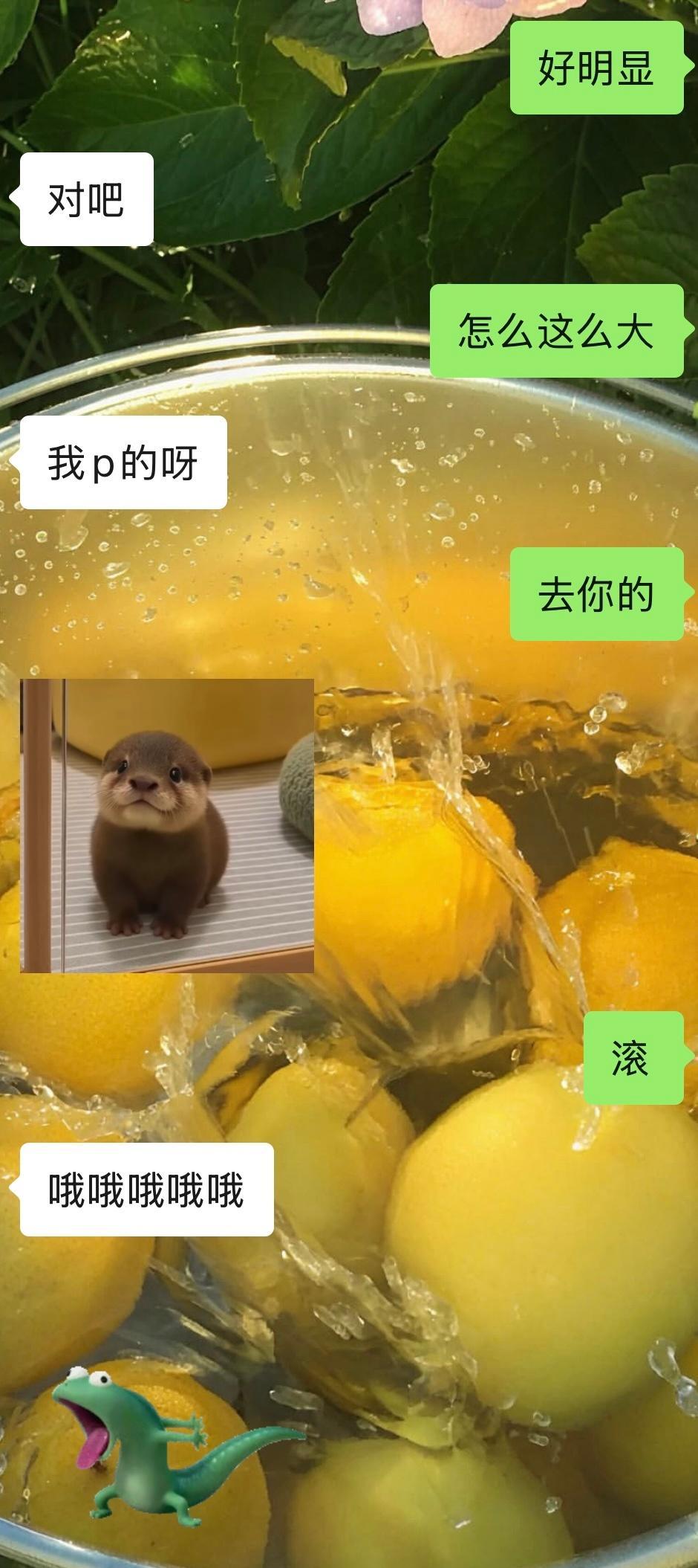 这人有毛病不……… 