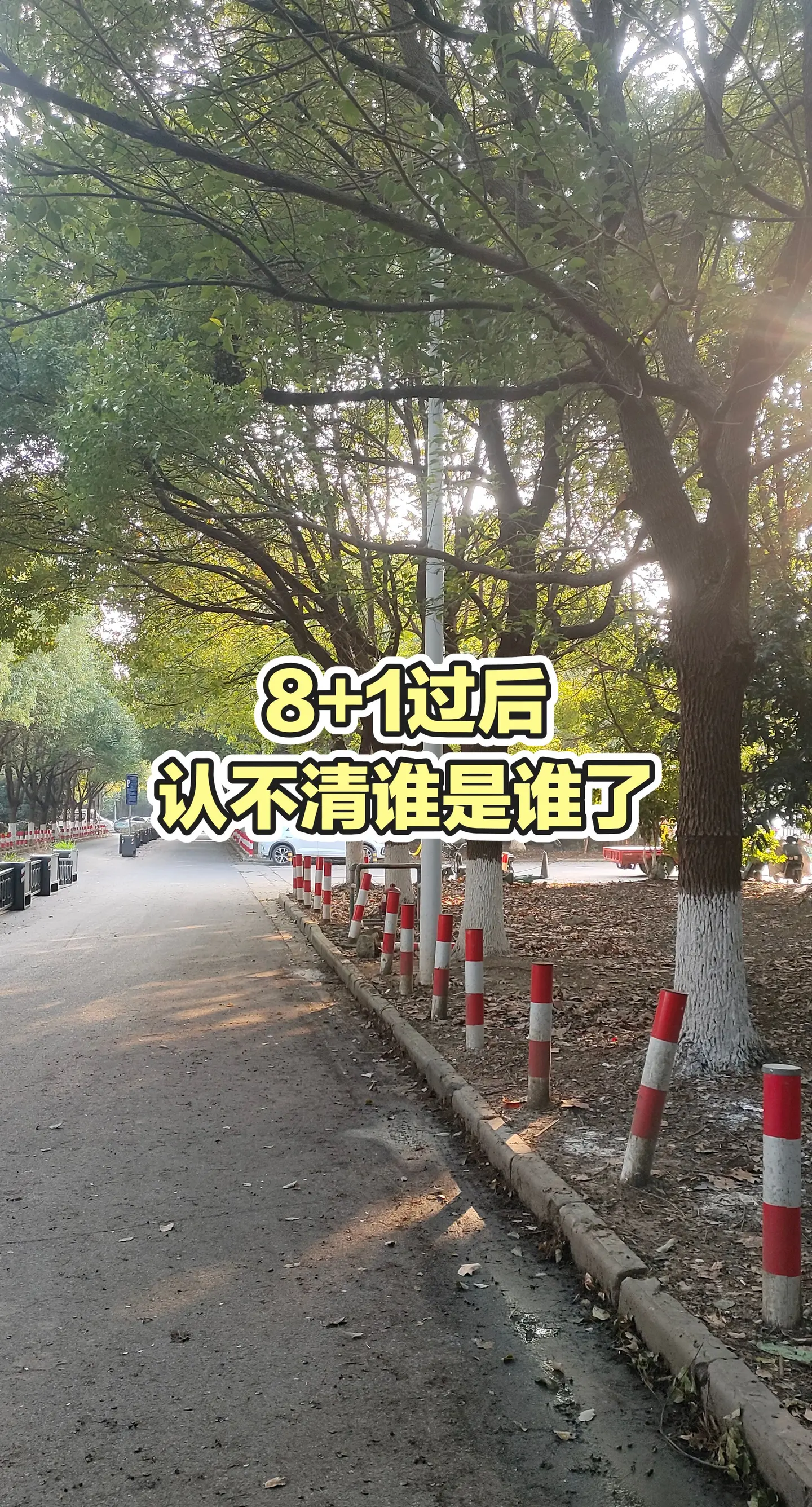 每日更新