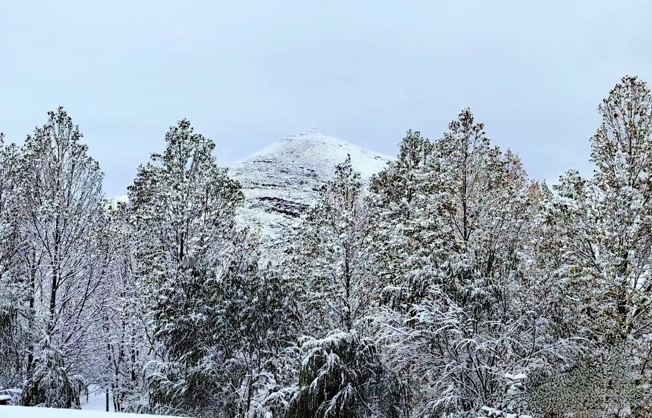 银川下雪了