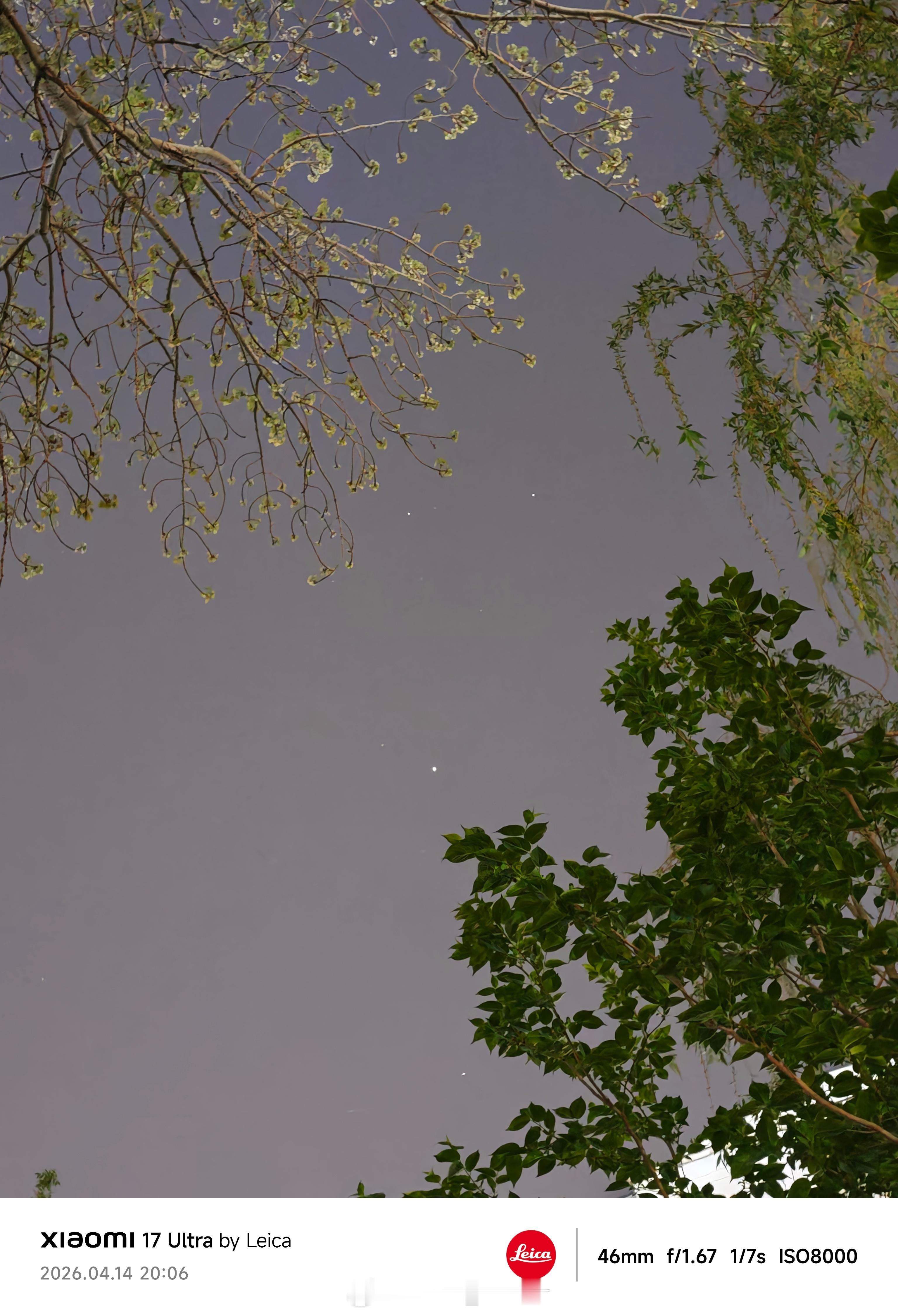 一抬头，突然感觉，北京的春天真短啊。 