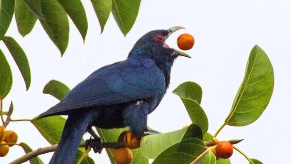 袁卫星校长的拒绝，是一场高维度的教育纠偏：他拒绝了学生“让世界为我让路”的惯性，