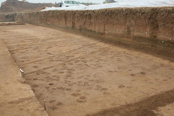 世界文化遗产，隋唐洛阳城城市布局