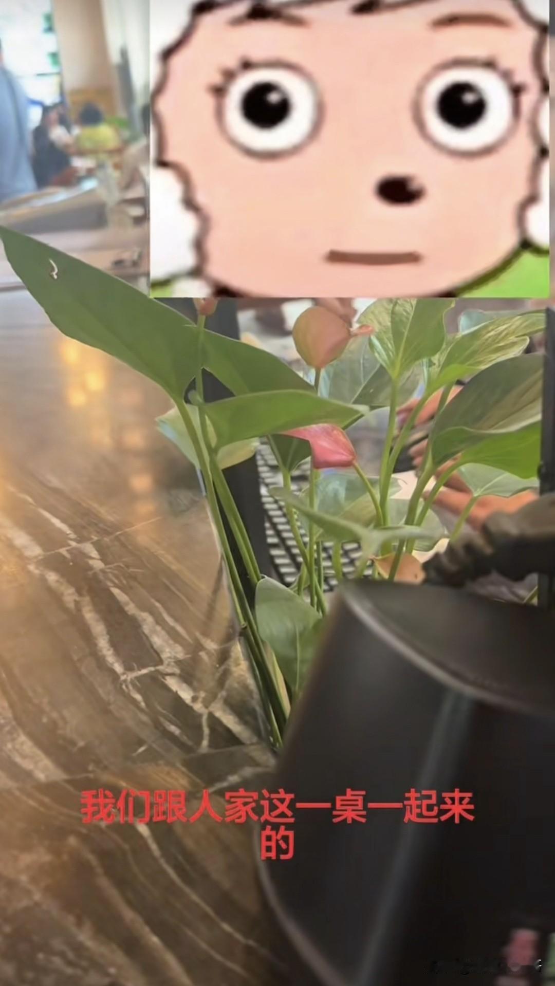 一博主发视频吐槽，她在某平台下单了一个餐饮店的优惠套餐，同样的菜比直接去店里点菜