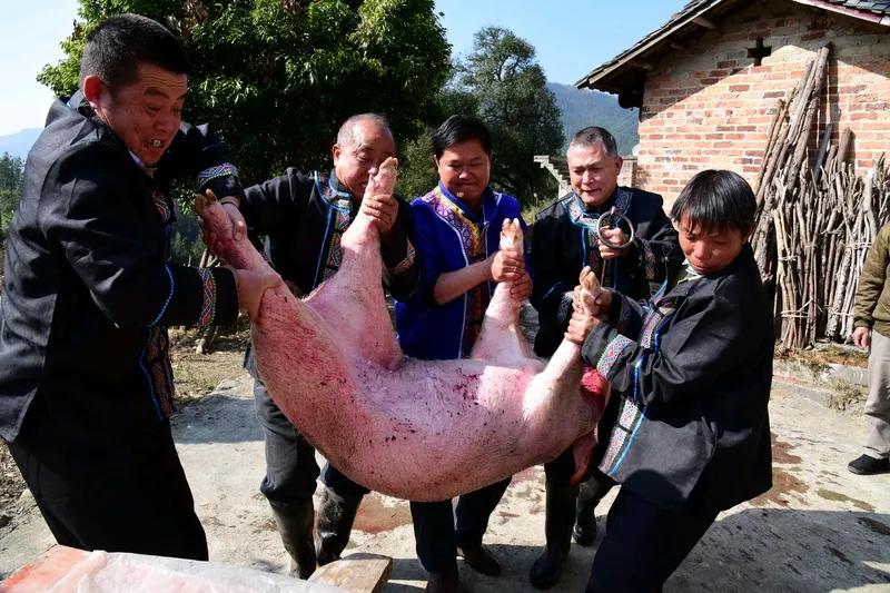 重庆女子呆呆网上求助帮忙按猪，还请吃刨猪汤，没想到引发大轰动！她原本只是想让家门