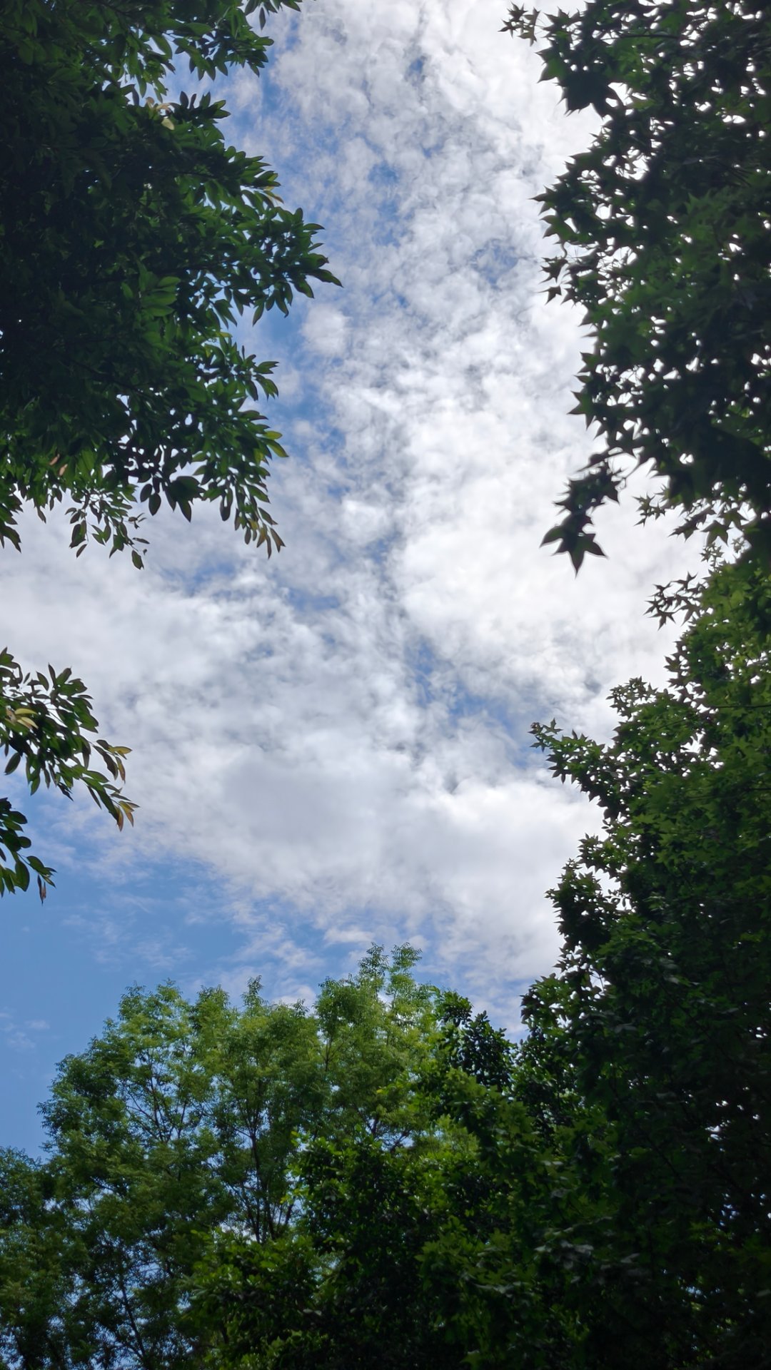 随手拍李现李现，冬天的糖霜，秋天的麦芽糖，夏天的莲子羹，春天的绿豆酥，都甜不过你