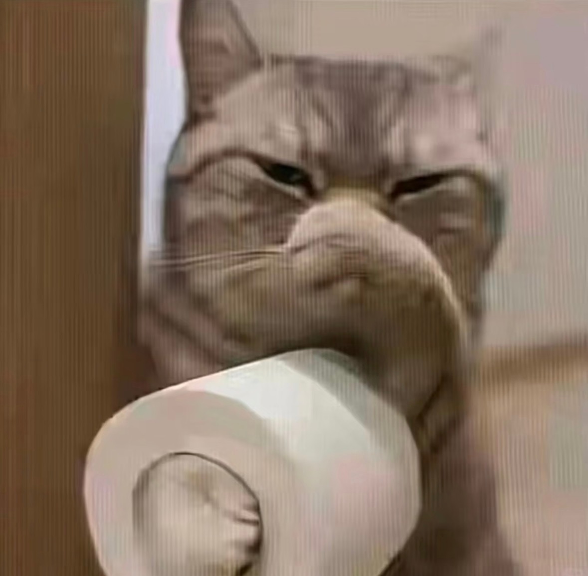 情头meme 