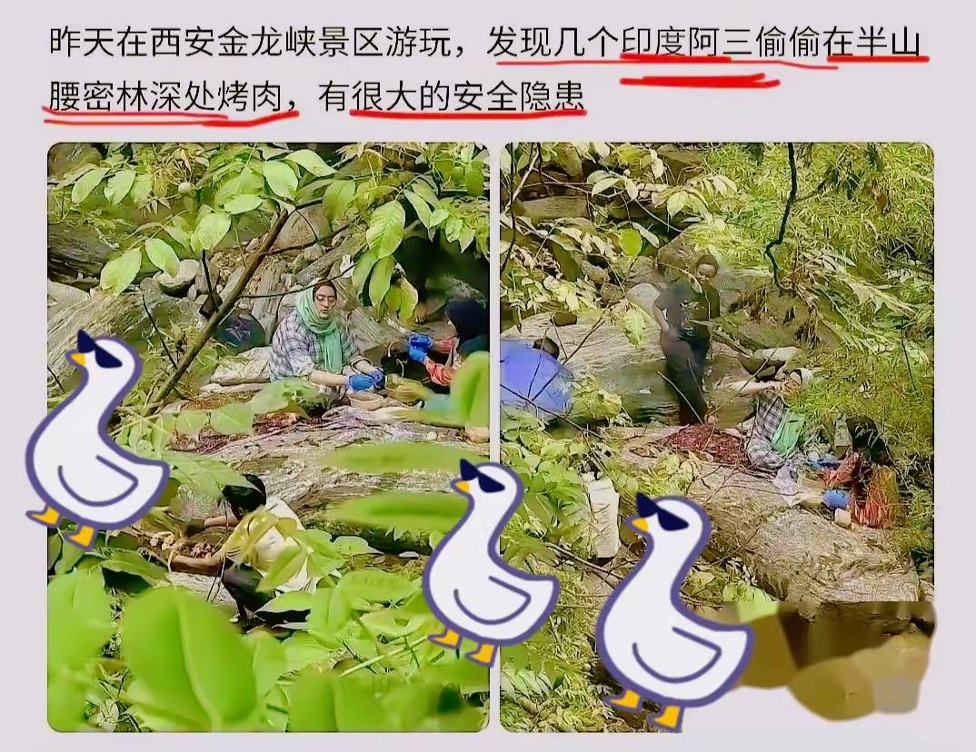 胆大包天，进山游玩还敢偷偷点火，完全无视山林防火规定！
西安金龙峡山林植被茂密，