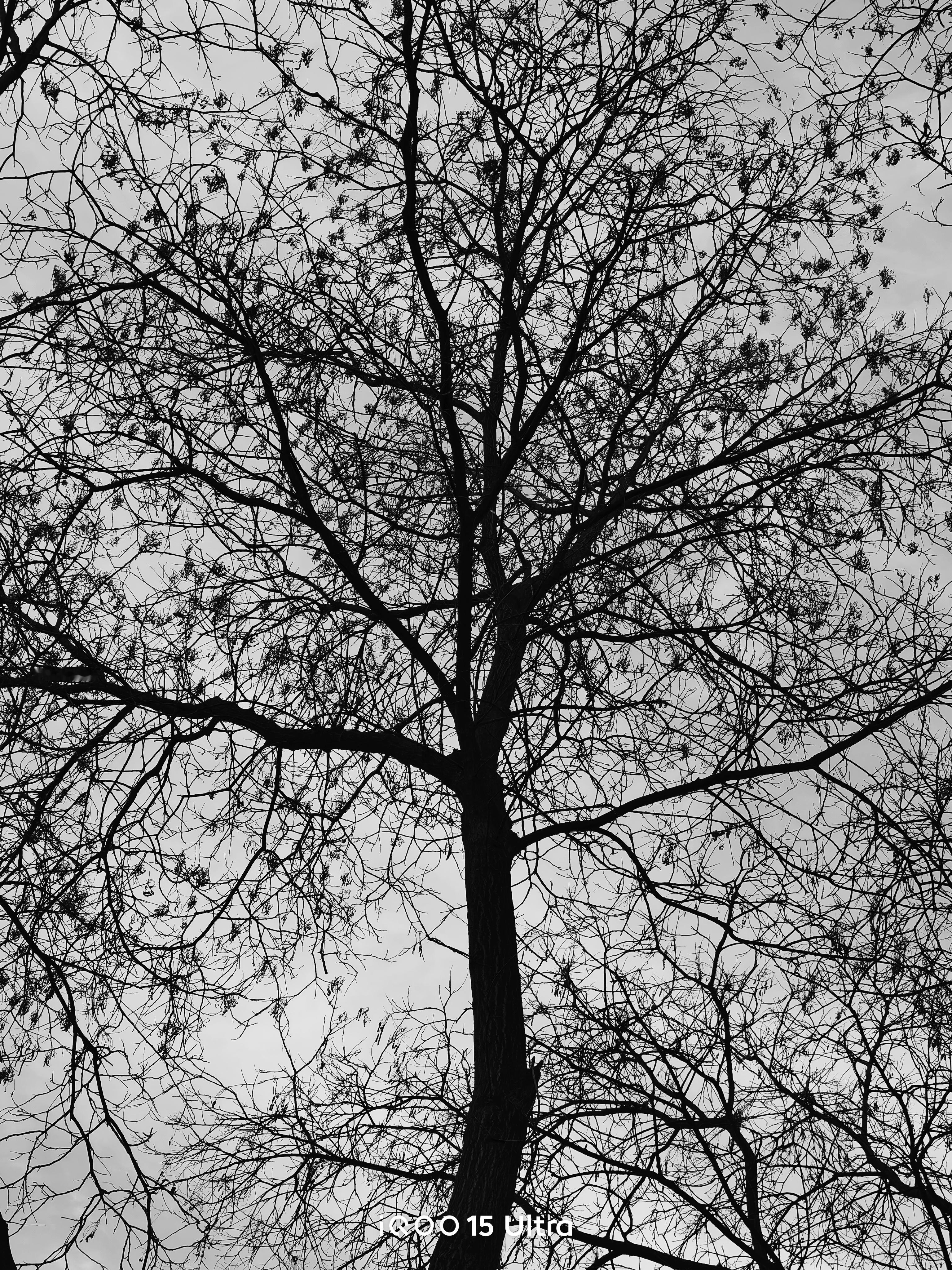 用 iQOO15 Ultra 随手拍的一些照片～📷 张掖