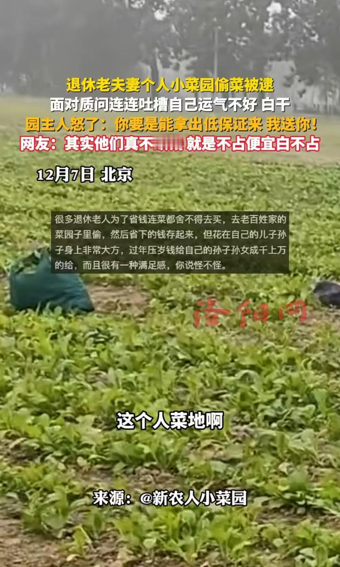 12月8日报道北京，一对夫妇偷菜时被当场抓住，却抱怨道，自己运气不好，白忙活了，