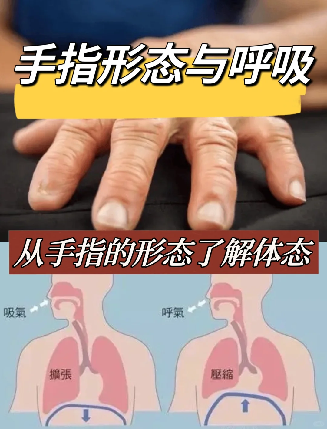 从手指、脚趾的形态，看呼吸状况和体态