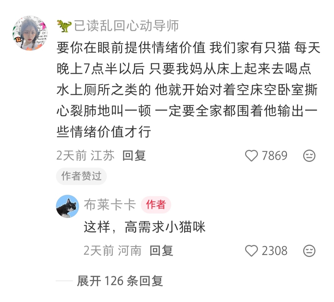 原来这就是高需求小猫咪 