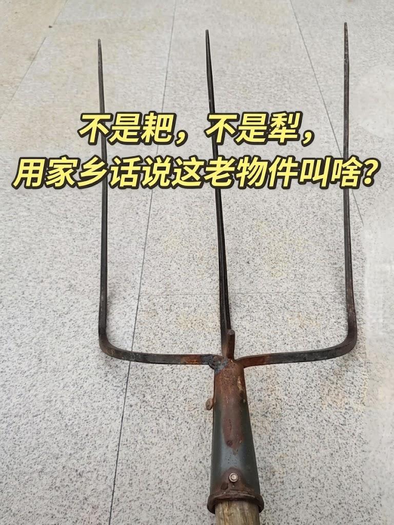 这玩意在你们老家用家乡话/土话是怎么说的？