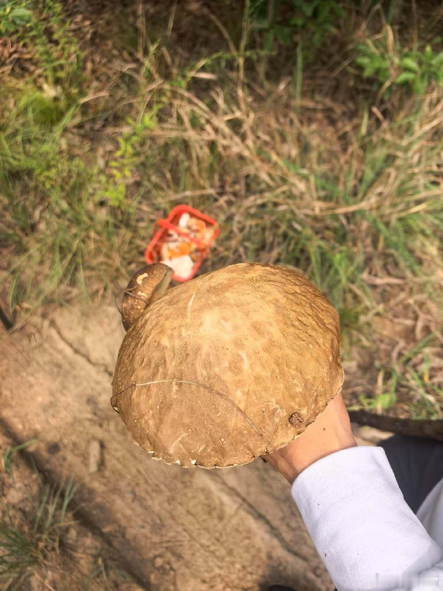 早上出去的时候还挺凉快安逸十点多就热了蚊子🦟还多机智如我穿了防晒衣长裤吃完午饭