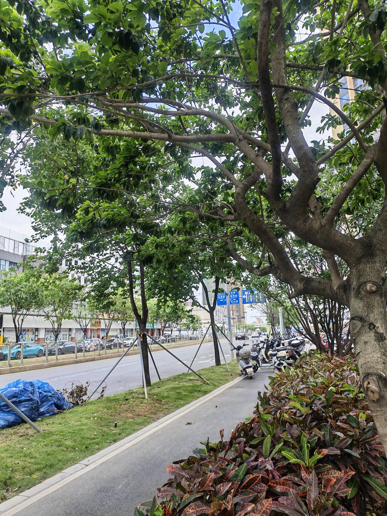 记录我的2026福州一小区，多位住户的门窗在同一时段破碎。当天的天气闪电5341