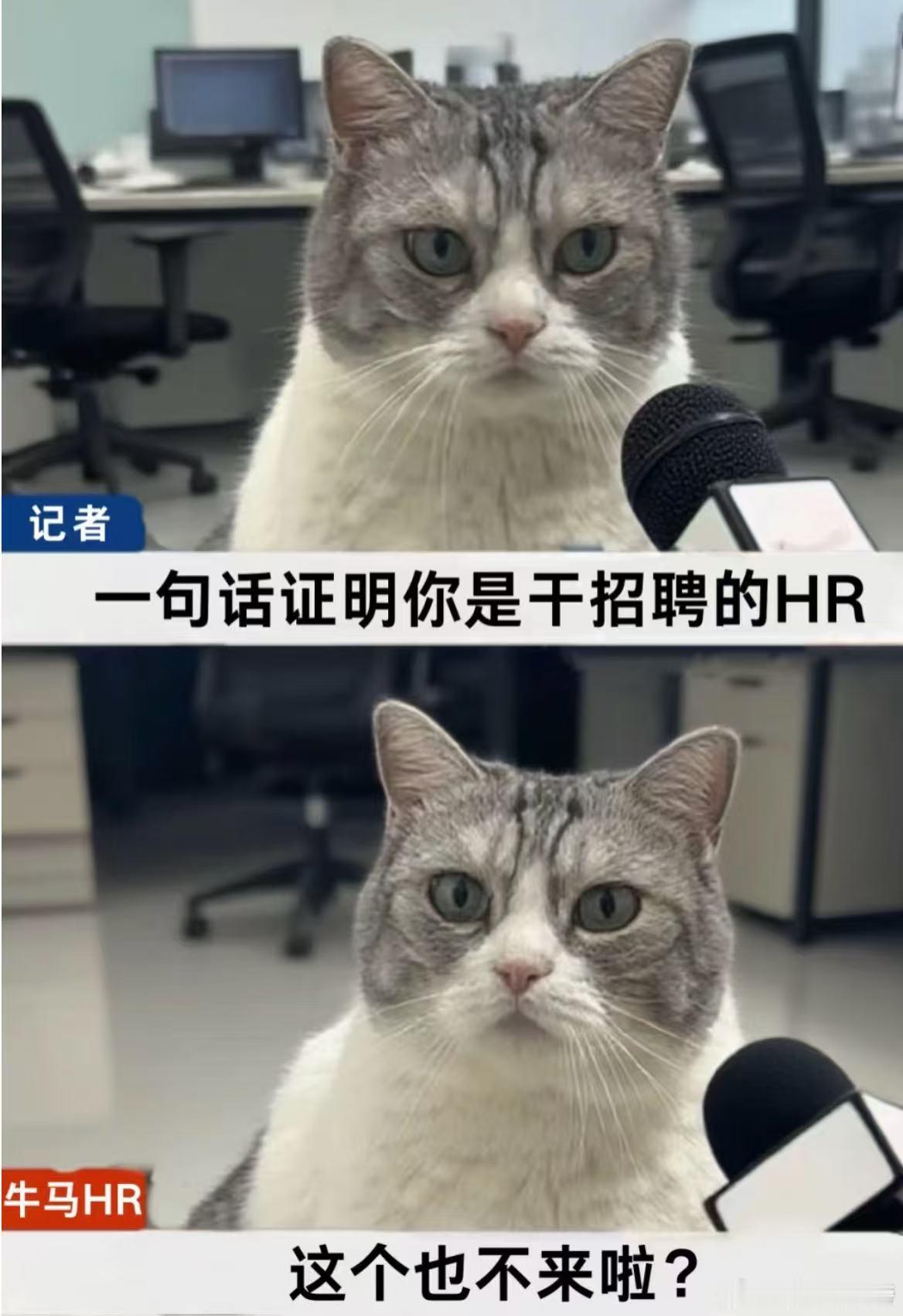终于有人为HR发声了 总有人随便就说HR这个岗位没什么用处，只有真正亲身做过才清